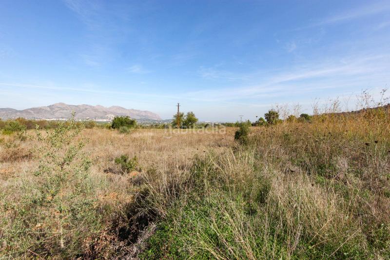Foto d6a7616b-7ba8-4b77-8dd7-868d9eb37888. Terreno residencial en Orba