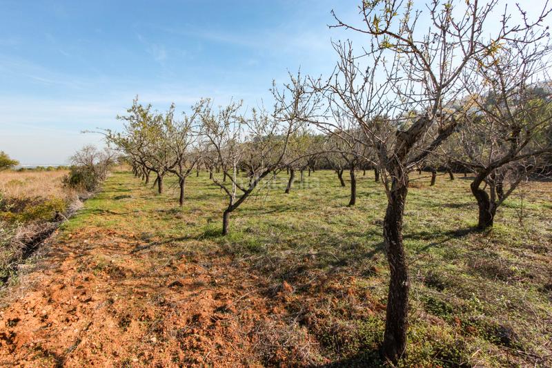 Foto b8de7abd-d853-4d79-a86a-c701e8998711. Terrain résidentiel dans Orba