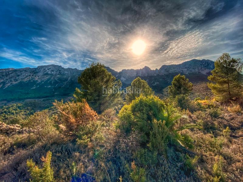 Foto 80c00007-2f34-42cb-9859-e856a3a5785d. Terreny residencial a Xaló