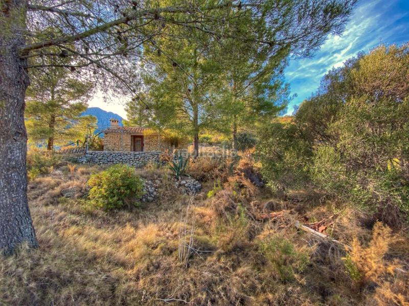 Foto f07d9bc5-c925-4307-b8f6-38a25b5d51ac. Terreny residencial a Xaló