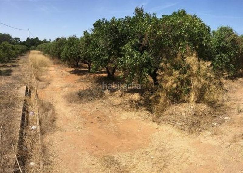 Foto d09ff88a-03a5-4779-923d-2031d343b610. Wohngrundstück in La Xara-La Sella Dénia