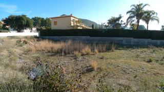Terreny residencial a Alcalalí