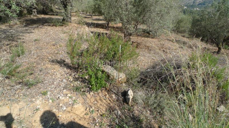 Foto 5ec6b1b3-ddef-422f-bf64-0cc9c41e16cf. Terreno residenziale in Benichembla