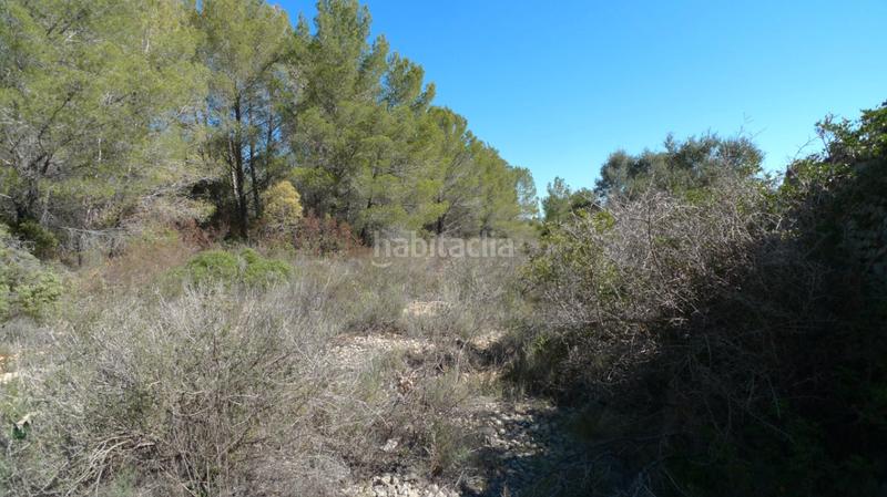 Foto 68cd9fcf-c20c-4ff1-8b8d-dab4d174d024. Terreno residenziale in Benichembla