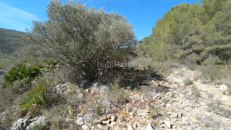 Foto a543ae4c-dc70-43df-937f-8da1a6b4c953. Terreno residenziale in Benichembla