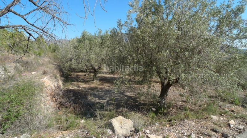 Foto a8910ca2-c6cd-4aaf-8c50-ba12477d6bed. Terreno residenziale in Benichembla