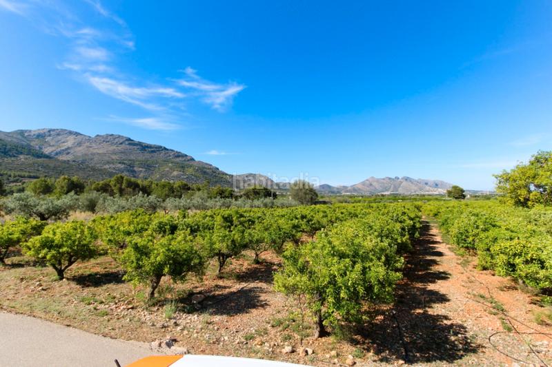 Foto 2d8e01b5-5c3b-4996-805a-c9844c3d1e23. Terreno residencial en Orba
