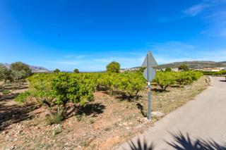 Terreny residencial a Orba