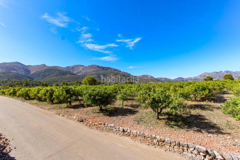 Foto ee04d647-757e-41c8-98eb-d3c8b97839c7. Terreno residencial en Orba