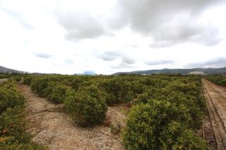 Residential Plot in Tormos