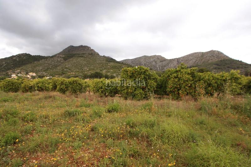 Foto 2119e867-a05d-441a-a508-b5253c32cd35. Terreno residenziale in Tormos