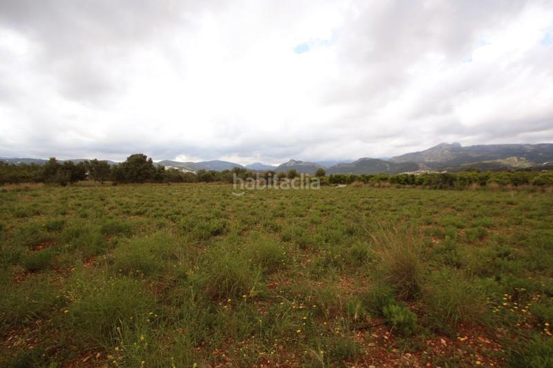 Foto 6f16f31e-6968-4216-88cb-b92a1d9f5c07. Terreno residenziale in Tormos