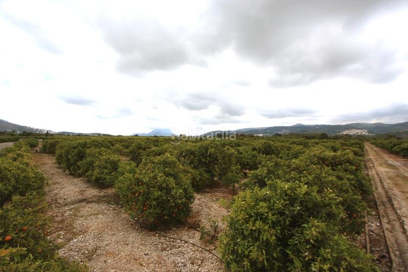 Foto 9d7bc501-dac0-487f-8e82-51bfd42bbf5c. Terreno residenziale in Tormos