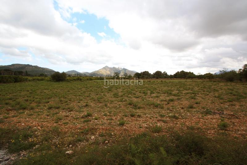 Foto b84ba584-6dbf-4cc3-8284-0c40eda8e37a. Terreno residenziale in Tormos