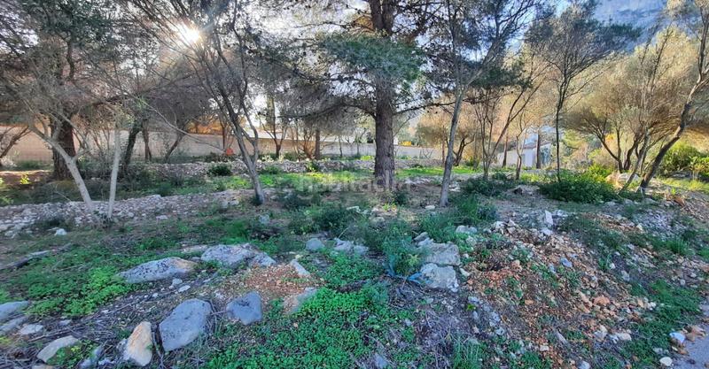 Foto 426ea6d6-cb96-4ff0-b564-e9ce21b95f68. Terreno residencial en El Montgó Dénia