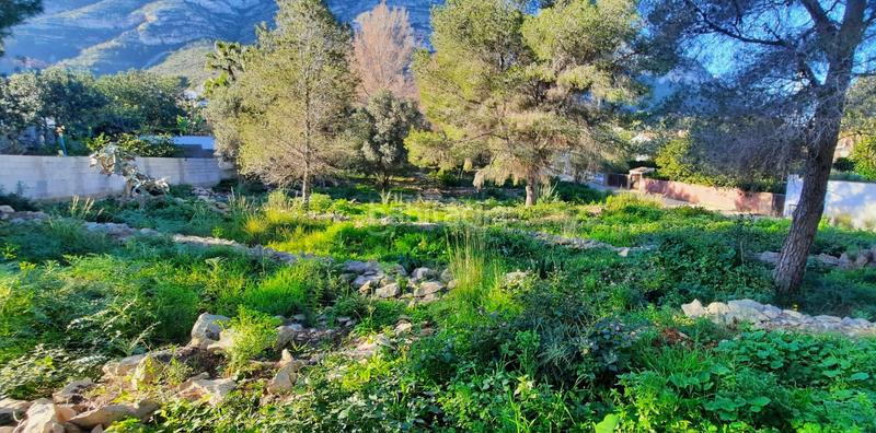 Foto 5e8a0d01-2c3e-492d-9ab2-4fb738941834. Terreno residencial en El Montgó Dénia