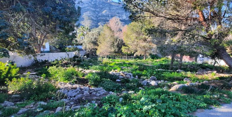 Foto 9d6e5ddb-d1b2-4cda-a5ae-a9ca5511117c. Terreno residencial en El Montgó Dénia