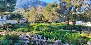 Terreno residenziale in El Montgó