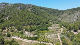 Terreny residencial a Oliva Pueblo