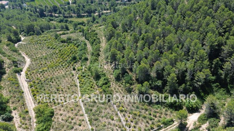 Foto b9382069-99d8-4567-a92d-317783071300. Terreno residencial en Oliva pueblo Oliva