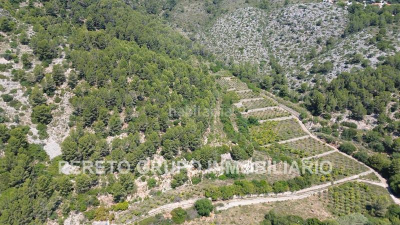 Foto b98d5010-8647-4a82-953e-428811de810e. Terreno residencial en Oliva pueblo Oliva