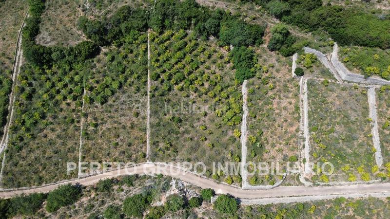 Foto d532b85e-1bcf-49a9-a0c1-6dad815987bb. Terreno residencial en Oliva pueblo Oliva