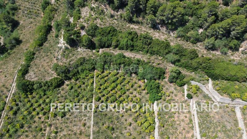Foto df8b6f8b-73fc-44f8-b2bc-91a0d4393cef. Terreno residencial en Oliva pueblo Oliva