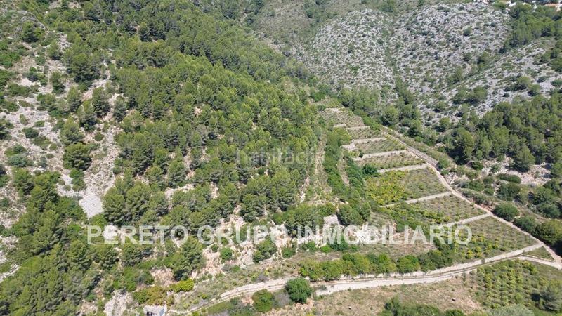 Foto f9088293-6148-4784-8d8c-d3f67839b8e4. Terreno residencial en Oliva pueblo Oliva