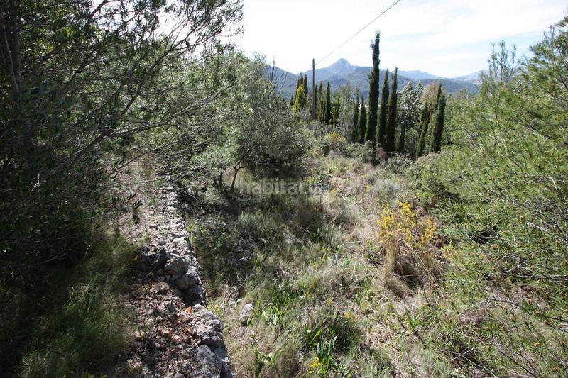 Foto 1a2228e8-b373-4c20-9554-5166c76c544c. Terrain résidentiel dans Orba
