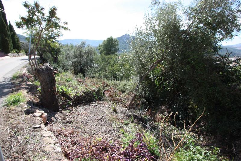 Foto 706c4cb4-6bbe-49f6-bb21-482a3f898eb1. Terrain résidentiel dans Orba