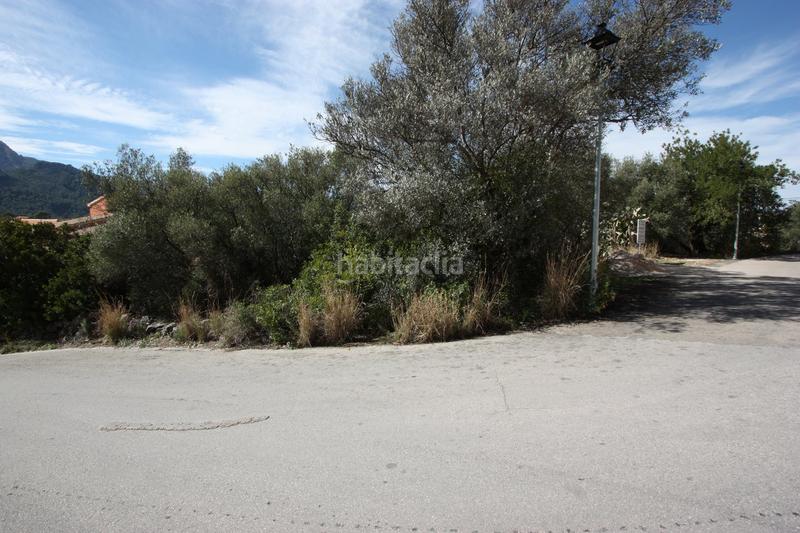 Foto fffb927c-9199-49c1-bd4b-a427bf1f0bf4. Terrain résidentiel dans Orba