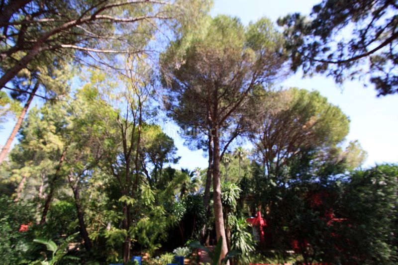 Foto 6f0f104f-d16d-40e1-8d97-87b04be7dc41. Xalet amb calefacció aparcament piscina a Sagra
