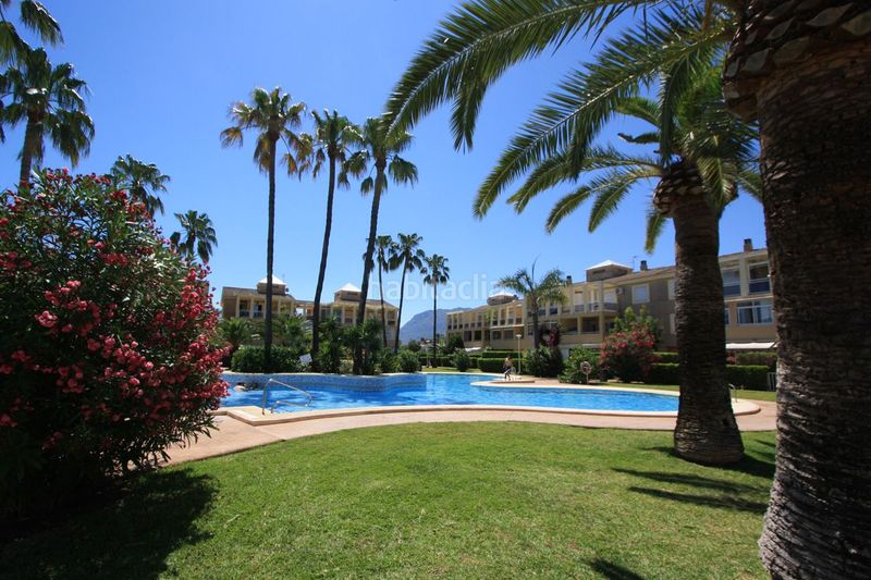 Foto d7ac9e4e-613a-4d81-90de-5fbbbf4d21bf. Apartament amb calefacció aparcament piscina a Les Bassetes - El Marjal Dénia