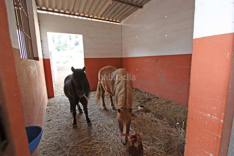 Foto a31346eb-4a9c-4421-9877-468cf99b9027. Casale con parcheggio in Orba