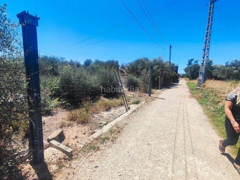 Foto bcf91f56-6c0a-4756-bb48-96cab61c5b6f. Terreno residencial en carrer d'alcala de xivert 93 terreno urbanizable en Benicarló