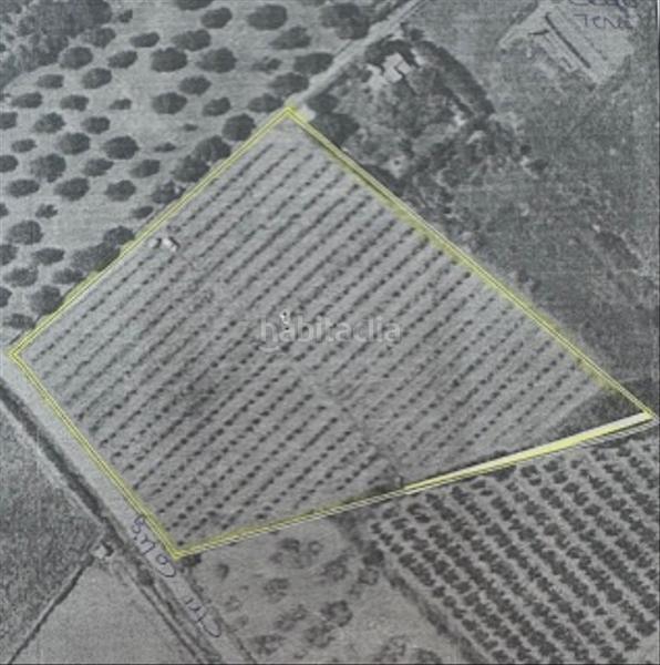 Foto 443ec3bf-4b7f-4057-bd8b-bc5988738742. Rural plot in Pueblo Benicarló