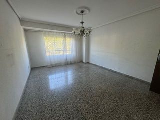 Flat in Santa Rosa