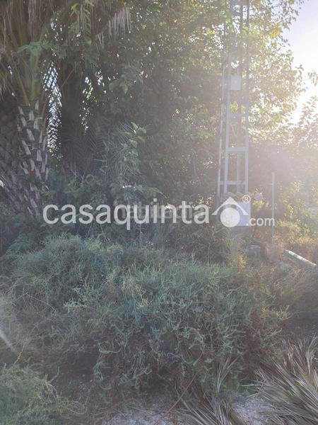 Foto afd850c2-3dbc-4e0d-85ae-6ad94bf0905c. Chalet in Catral