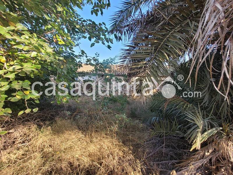 Foto d8660f14-9a00-485a-94a6-6511af431f74. Chalet in Catral