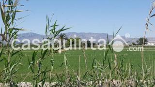 Terreny residencial  Partida santa agueda. Terreno rustico con dotacion de agua