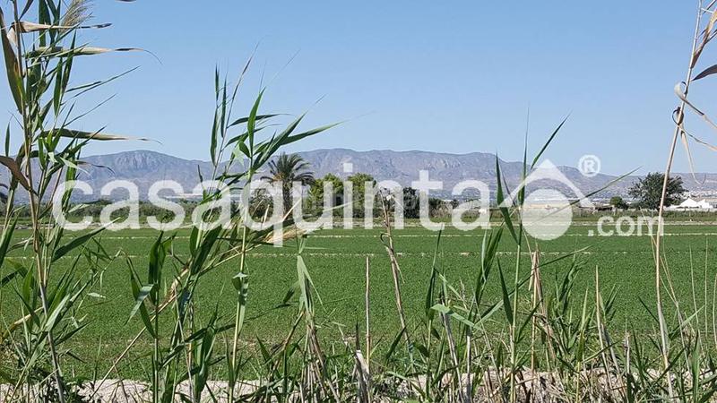 Foto 74c7ac25-4f16-4d1b-a44c-a25e475b177f. Terreno residencial terreno rustico con dotacion de agua en Catral