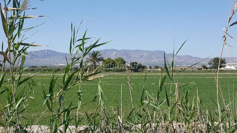 Foto ae6b84e2-7ad3-4a9e-978f-694c642a0b52. Terreno residencial terreno rustico con dotacion de agua en Catral