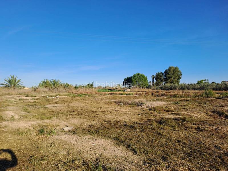 Foto 1e092103-9746-4663-be82-24602c50486f. Terreny residencial a Catral