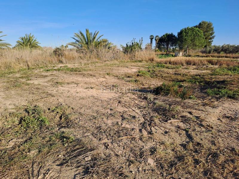 Foto 26245b81-9835-49e1-9508-5d06ba78ceb7. Terreny residencial a Catral