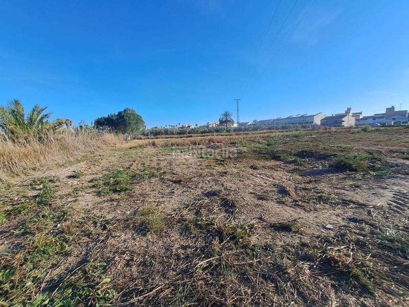 Foto 29e0e2d9-38f6-4715-b9ba-d163e995beae. Terreny residencial a Catral