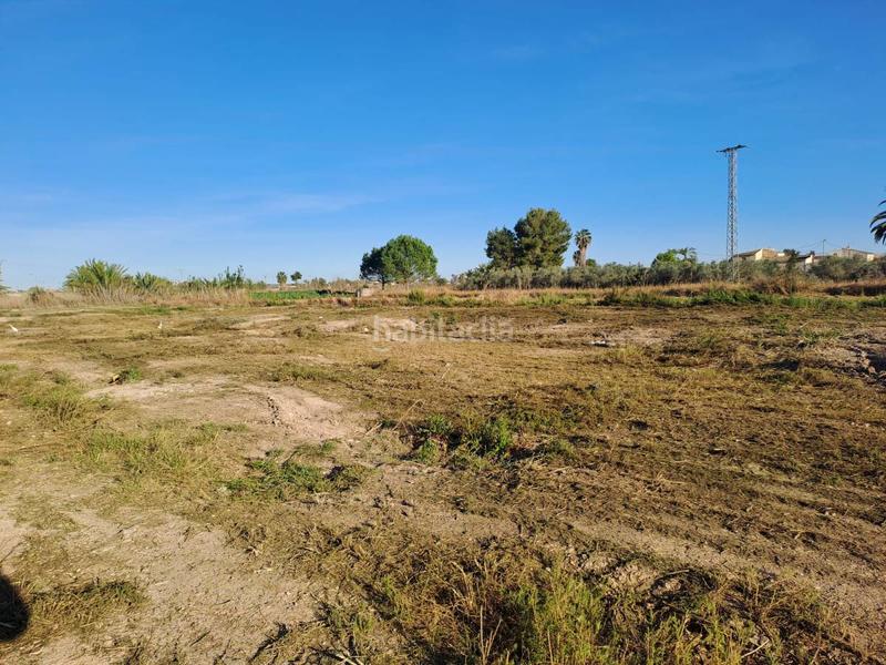 Foto 76f50d99-d18a-487b-afec-402b3240a6be. Terreny residencial a Catral