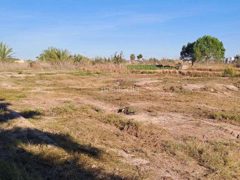 Foto c89c0954-fe6c-49df-ad35-1ae812a237b4. Terreny residencial a Catral