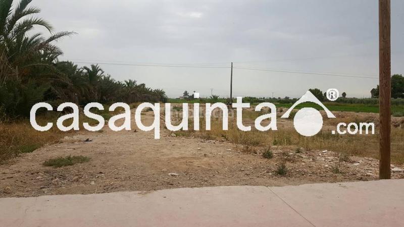 Foto edd79c67-f443-4ed8-b253-42fea9093cb9. Terreny residencial a Catral