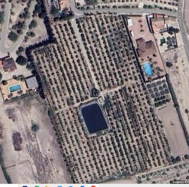 Foto 1ff8b056-240c-4485-8c97-eee623fe9a3a. Residential plot in Callosa de Segura