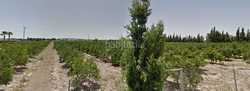 Foto bbf9f63b-e50a-44af-b770-a6738a3e5eaa. Residential plot in Callosa de Segura